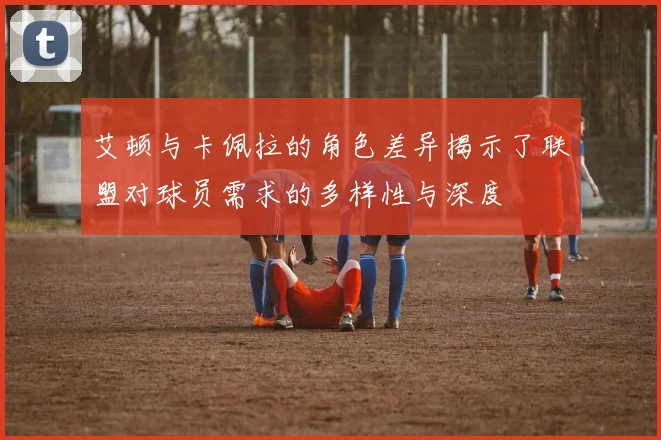艾顿与卡佩拉的角色差异揭示了联盟对球员需求的多样性与深度