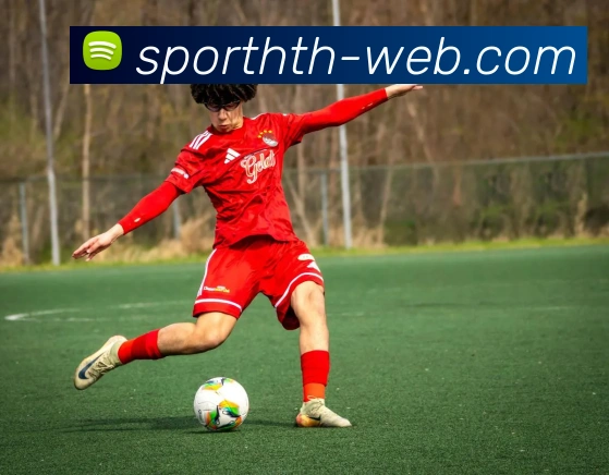 华体会体育品牌故事